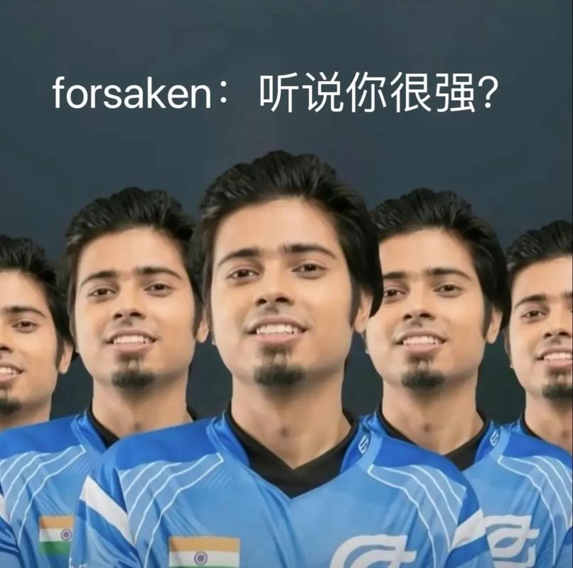 的风格互